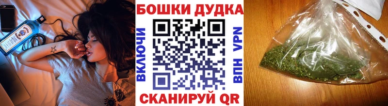 Бошки Шишки конопля  где найти наркотики  Вятские Поляны 